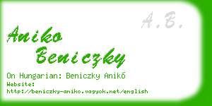 aniko beniczky business card